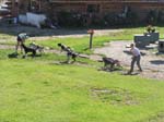 Sled dogs in training