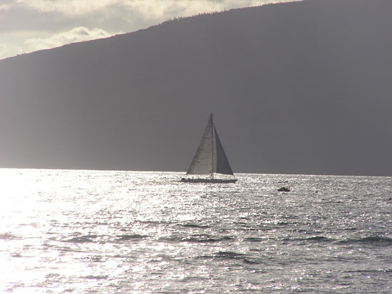 Lahaina Sail Boat