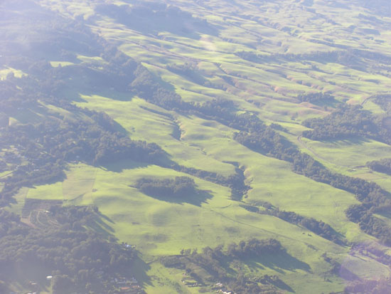 Maui Landscape