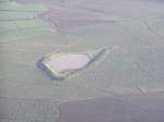 Sugar Cane Fields