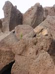 Lava Rock on Haleakala