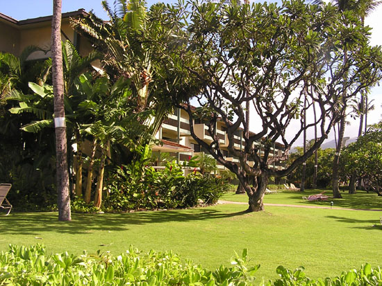 Our Hotel in Kaanapali