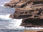 Rocky shore on the east side of Oahu