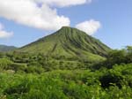 View from in Diamond Head