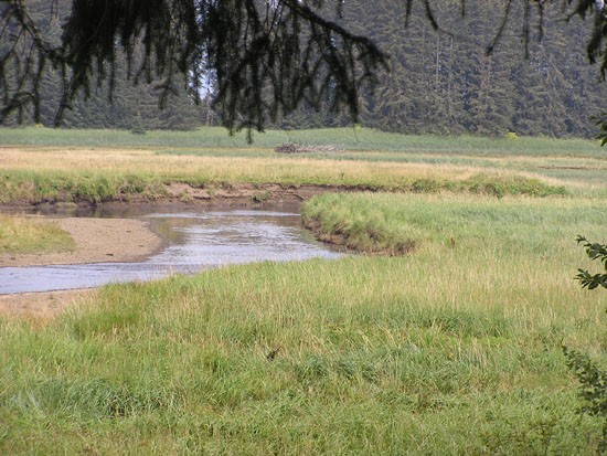 Hoonah scenery