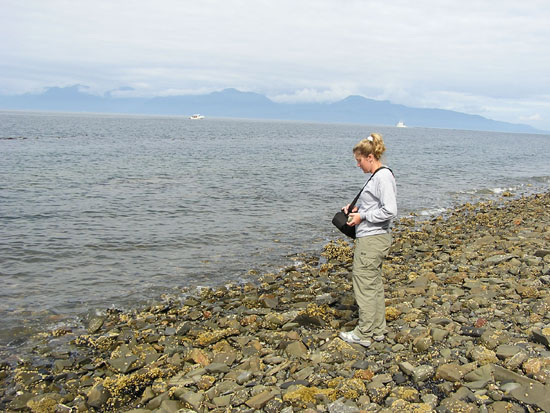 Hoonah shoreline