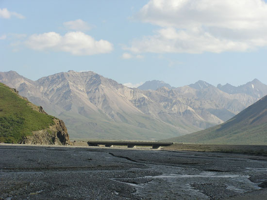 Denali Nat'l Park