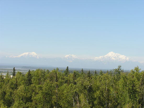 Hotel view of Alaskian Range