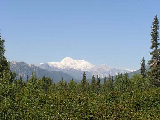 Roadside view of Mt. Mckinley