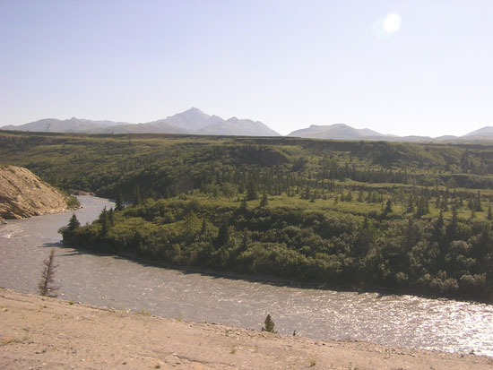 View from Train