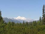 Roadside view of Mt. Mckinley